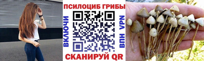 Галлюциногенные грибы Psilocybine cubensis Остров